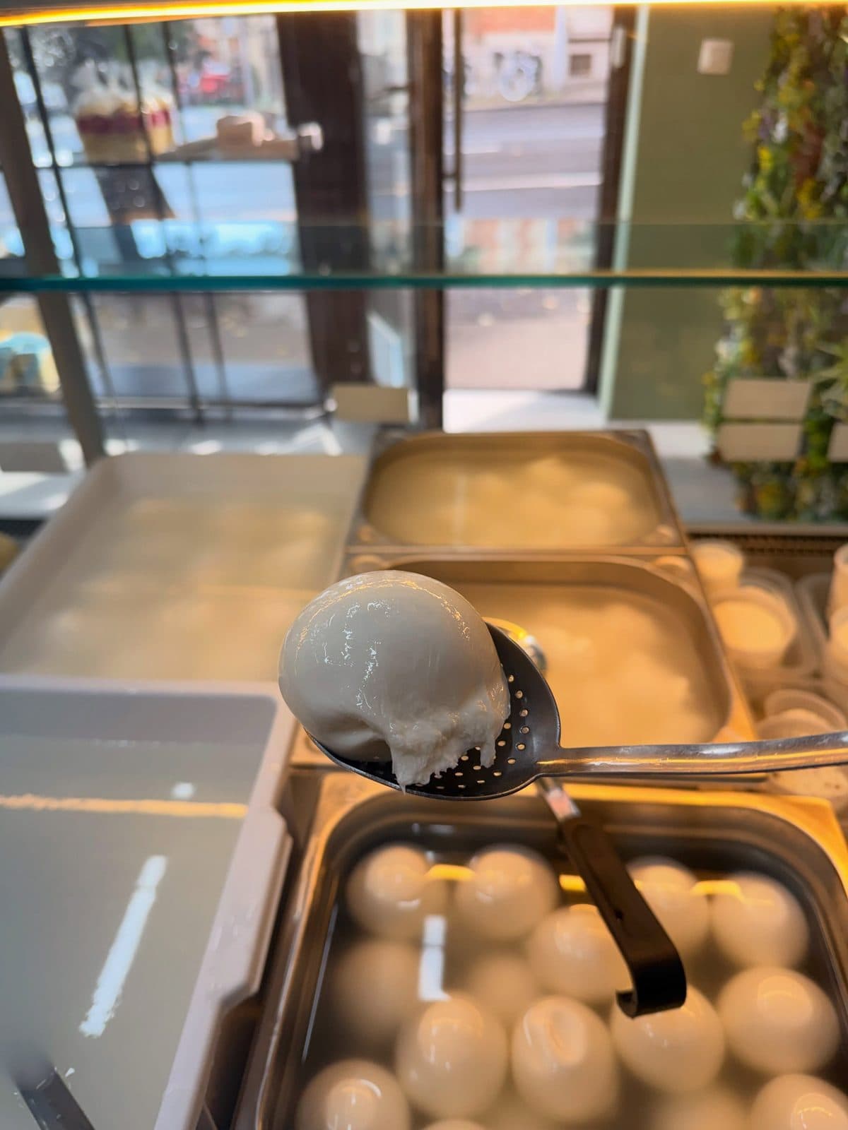 Une boule de mozzarella sortie de la saumure dans une louche, au-dessus des autres boules du bac de la vitrine